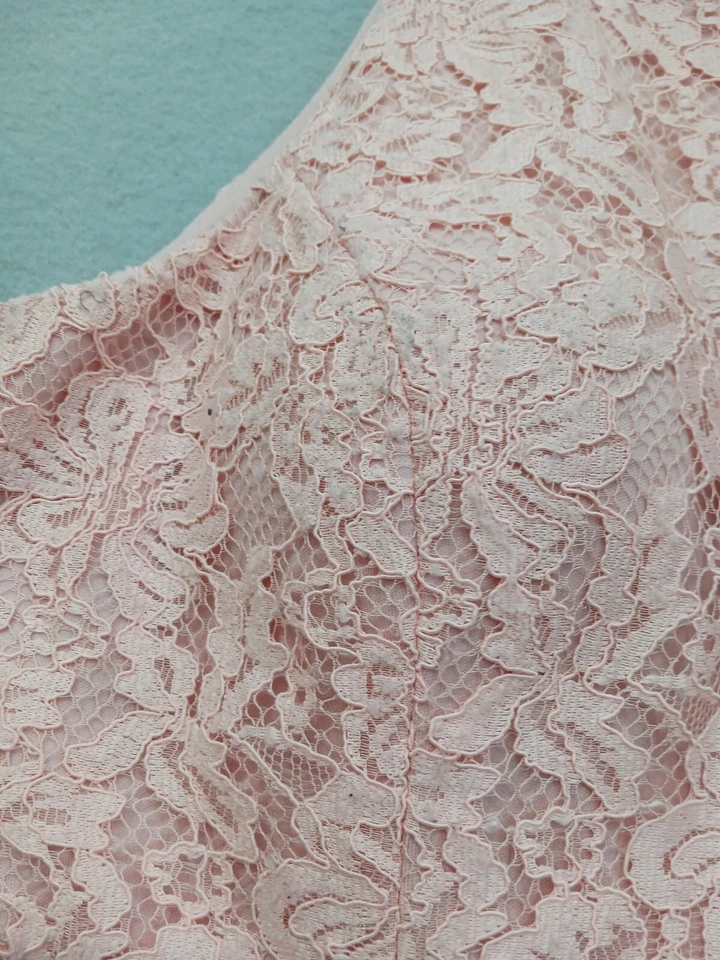 Vestido XSCAPE Fit & Flare 14 Rosa Encaje Sin Mangas Halter Cóctel Fiesta Foto 3 de 4