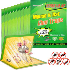 10 Pack Large Mouse Glue Traps with Enhanced Stickiness Glue Traps for Rat, Rode