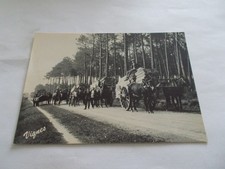 2 CARTES  LES LANDES D AUTREFOIS 40 TRANSPORT DU BOIS ATTELAGES DE MULES ANIMEES