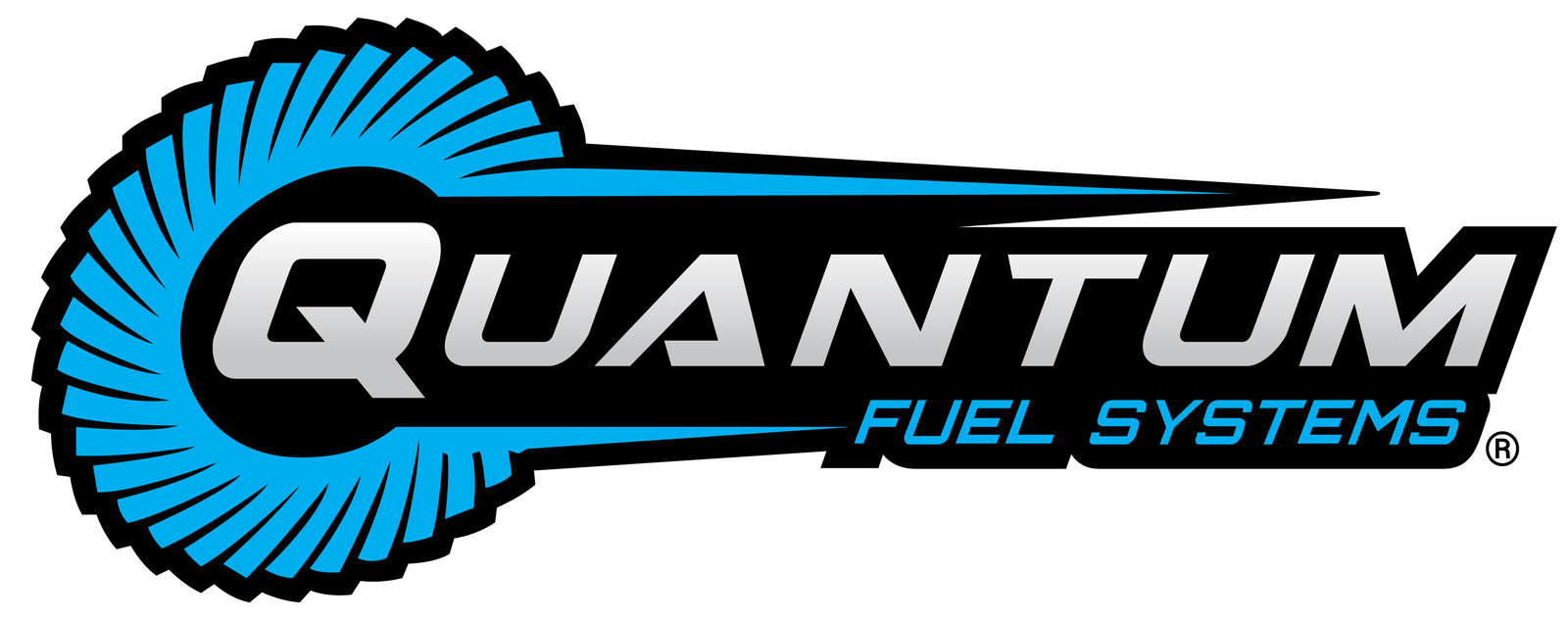 QFS Inline OEM Fuel Pump 1977-1983 Ferrari Mondial Convertible 8 3.0L E8314