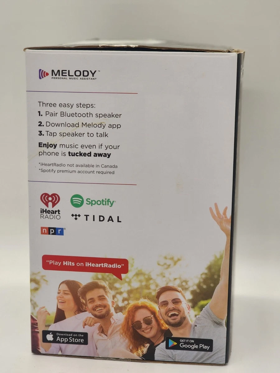 Melody personal on sale music assistant ihome