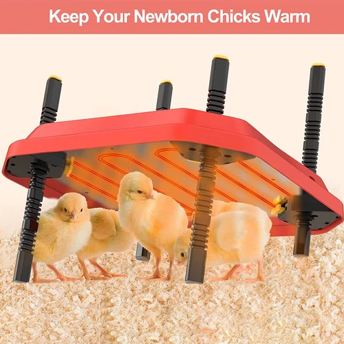 Thermostatically Controlled Brooder Heating Plate for Chick w/ Adjustable Height - Picture 9 of 12