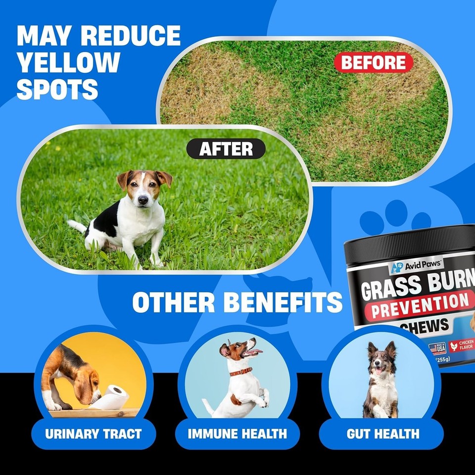 Dog Urine Neutralizer for Lawn Green Grass Dog Chews Helps Lawn Burn 120ct eBay