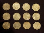 Amazing Lot Of 12 US Peace Silver Dollars! Over 9 Ounces Of Fine Silver! No...