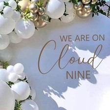 HOTIYOK Oh Baby Sign for Backdrop We are on Cloud Nine Baby Shower Stickers L...