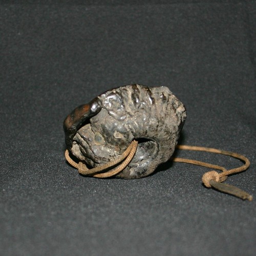 Edo Periode Netsuke Holzschnitzerei "Shiitake Pilz" Sagemono - Bild 7 von 7