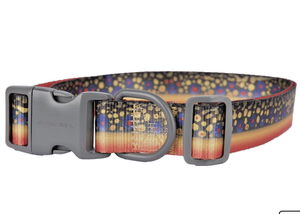 brook trout dog collar