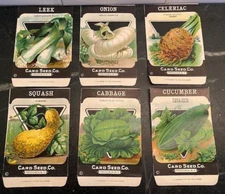 NOS Card Seed Company Greene Lithograph Vintage unused Seed Packets Fredonia N.Y