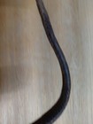 Bild 3 von 12