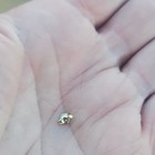 Gold Tone Metal Jewelry Clasp Finding, 1 Piece, for Bracelet or Necklace — photo 2
