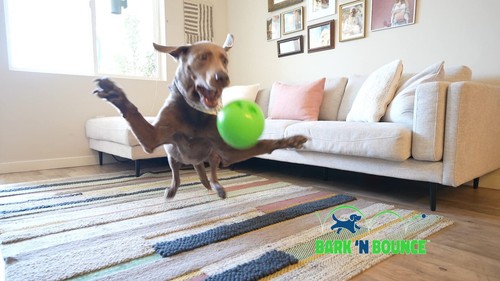 The Outdoor Optimist Bark N Bounce Interactive Dog Toys for Large Dogs Outsid... - Picture 7 of 8