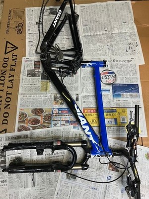 GIANT anthemX4.0 frame
