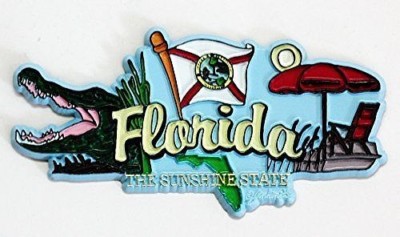 Magnete Frigorifero Collezione Florida State Elements – PVC Industriale Resistente – Souvenir Raro