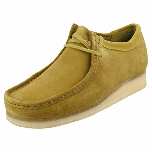 clarks desert gtx