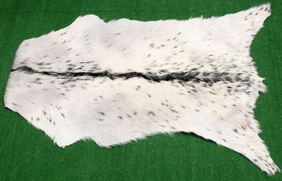 Luxus Ziegenfell Teppich Haar auf Fläche Teppich Größe 32''x20'' Tierleder Ziegenfell 3725