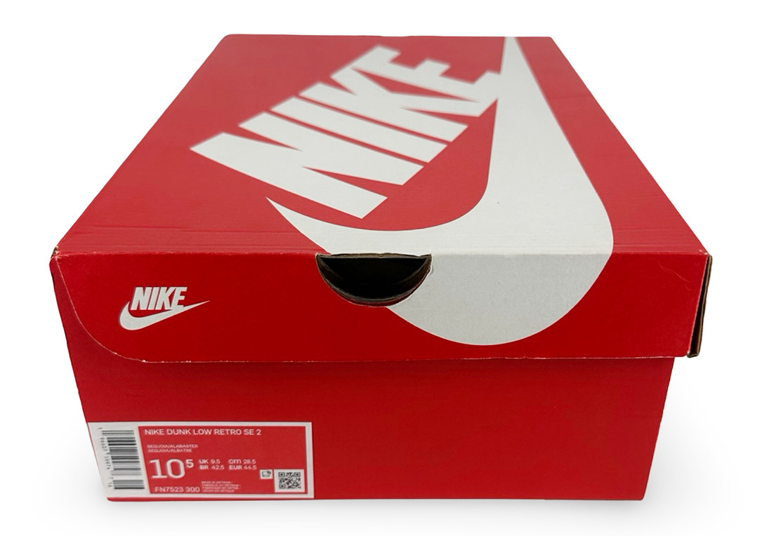 Size 10.5 - Nike Dunk Low SE Gone Fishing Rainbow Trout FN7523-300  thumbnail 3