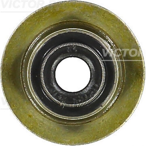 Victor Reinz 70-35549-00 Dichtungsring, Ventilstange FüR CitroËN, Fiat, Ford-image