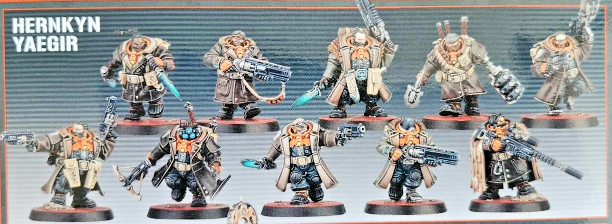 Herkyn Taeger Kill Team セット Herkyn Taeger Kill Team セット Amazon.com: Games Workshop