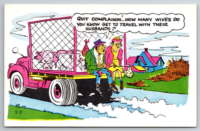 Vintage Postcard Humor Funny Cartoon Husband Wife Bums Pig Truck Chrome