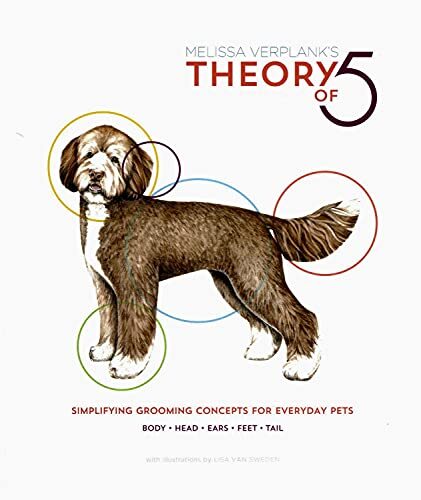 Melissa Verplank Theory Of 5 (taschenbuch)