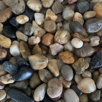 FLUSSKIESEL Kieselsteine KLEIN gemischt 520mm in Dose. kleine runde