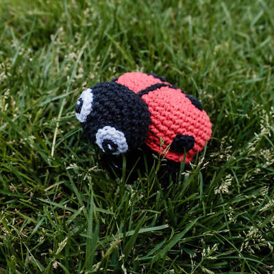 Hoooked DIY Crochet Kit Ladybird Daisy PAK355