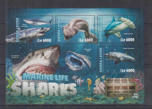 V587. Sierra Leone - MNH - 2016 - Nature - Marine Life - Sharks | eBay