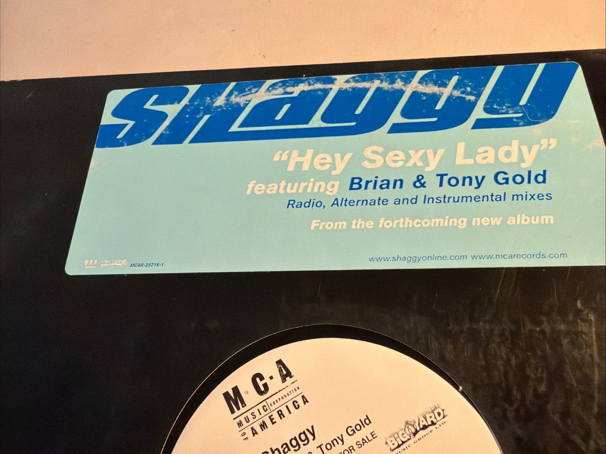 Shaggy Featuring Brian & Tony Gold - Hey Sexy Lady - 12” Vinyl