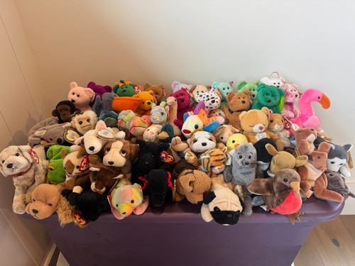 Lot Of 55+ TY Beanie Babies | eBay