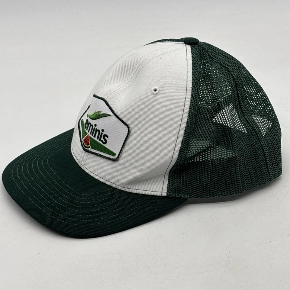 Parche de sandía Seminis Richardson Snapback sombrero de camionero verde blanco malla trasera Foto 3 de 4