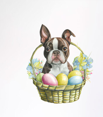 Wandbild Osterei Hund bunte Vinyl-Aufkleber Abziehbilder z333