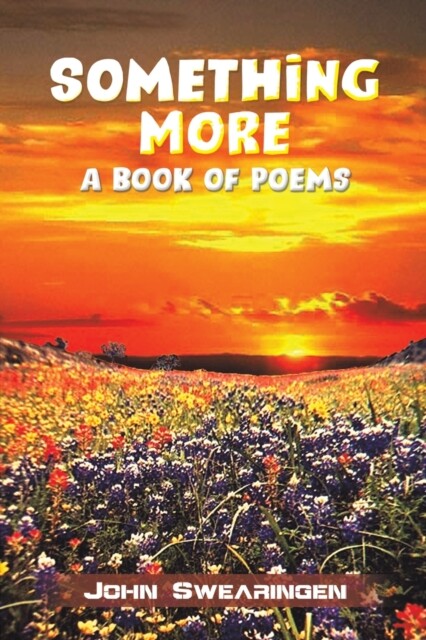 Something More 9781638297222 John Swearingen - Free Tracked Delivery