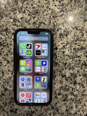 iPhone 13 Pro Max With TikTok