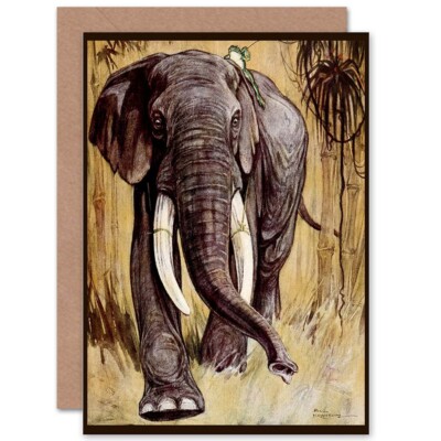 Bransom Cooper Fables Angola Elefant Frosch Geschenk Blanko Grußkarte