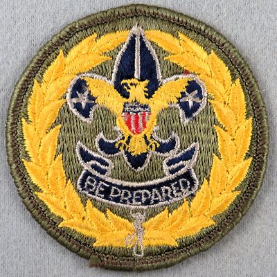 1960s Assistant District Commissioner Rolled Edge Adult GRN Bdr (MA589)