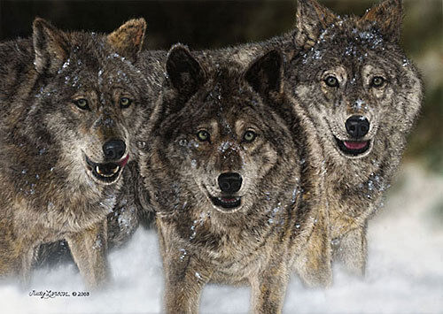 "The Pursued" Judy Larson Wolf Pack Art - Picture 1 of 1