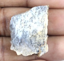 Natürlich Unbehandelt Australischer Dendrite Opal 26.90 Karat Edelstein Cabbing