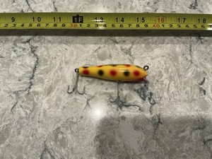 Creek chub Darter | eBay