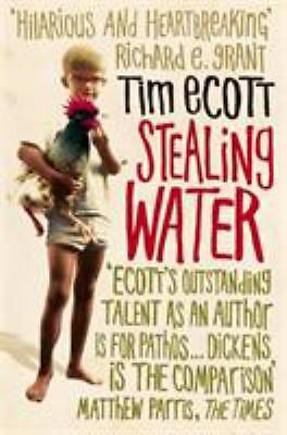 Stealing Water a Secret Life in an African City Tim Ecott 0340936649 ...