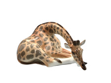 Lomonossow große Porzellan Giraffe - liegend - 1. Qualität - UdSSR sehr guter Zustand
