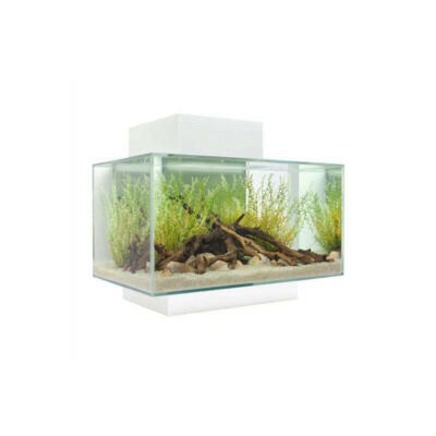 Fluval Edge 2.0 Aquarium 23 Liter - weiß glänzend