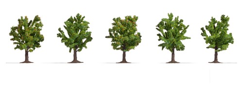 Noch 60818 - Kit D'arbres Naturels PROFI Pour Modélisme