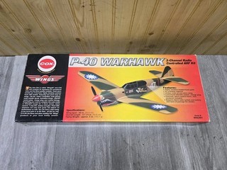 COX P 40 WARHAWK WINGS SERIES ELECTRIC MINI RC PARK FLYER GREAT FOR INDOOR