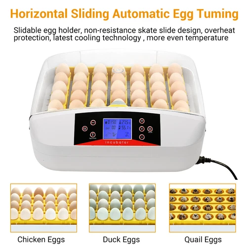 Egg Incubator LED Fully Automatic Digital Auto Turning 42 Eggs Hatcher Poultry - Picture 6 of 12