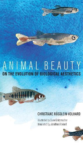Thumbnail - Christiane Nüsslein-volhard Animal Beauty (gebundene Ausgabe) Mit