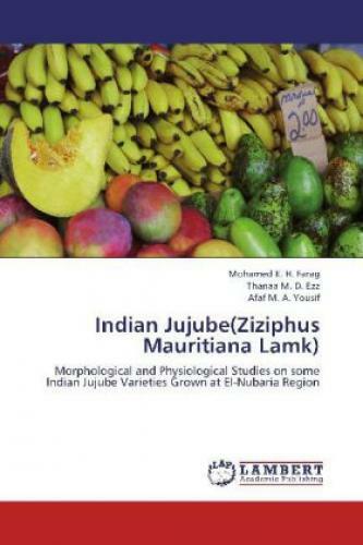 Indian Jujube(ziziphus Mauritiana Lamk) Morphological And