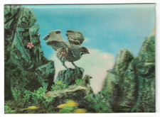 VINTAGE 1960 S NOVELTY 3-D LENTICULAR BIRDS GROUSE ASAHI TRADING JAPAN POSTCARD