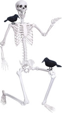 6Ft Life Size Skeleton Posable Skeleton with Movable Joints Halloween Full Body