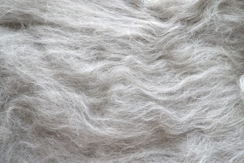 Light Grey Wolf Blend Carded Wool Batt Undyed Natural Shetland Wool Felt Spin - Picture 3 of 8