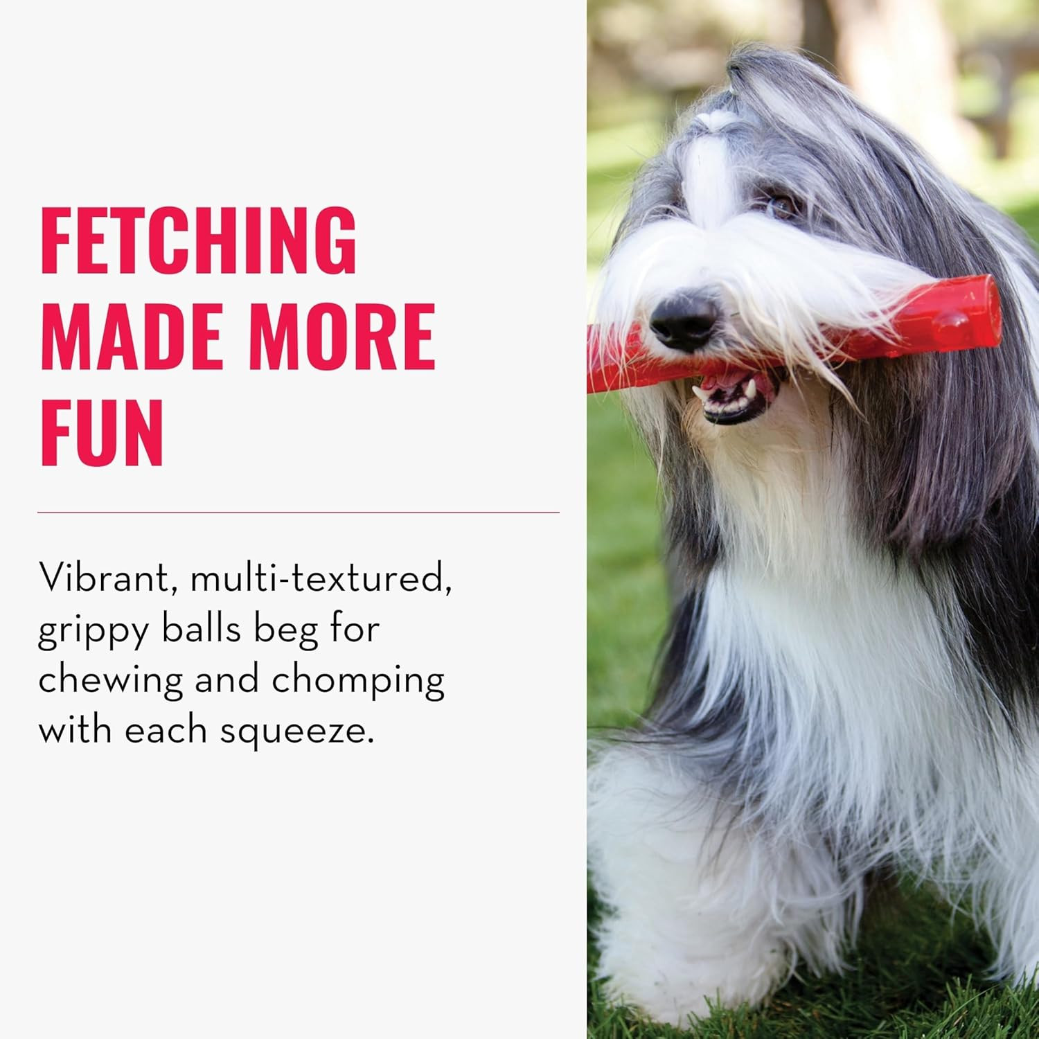 KONG Squeezz Ball Resistente - Palla con Squeak per Cani che Rimbalza - 3